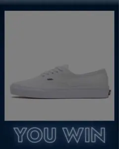 Vans zorn all my homies