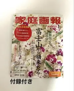家庭画報 2026年1月号 新年特大号 付録付き