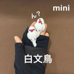 文鳥 ぬいぐるみ