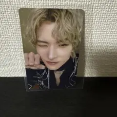 金城碧海 わんわんトレカ メール会員