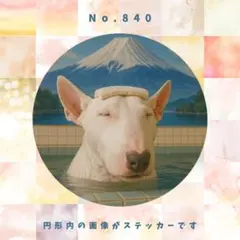 Ryoryo様 リクエスト 3点 まとめ商品