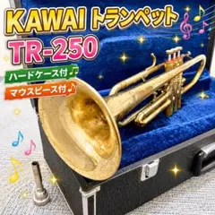 【完動美品】 ORIENT OTR-500N トランペット マウスピース付 完動美品】 ORIENT OTR-500N トランペット マウスピース付 - メルカリ