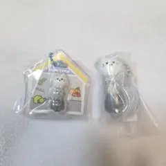 miniteenのサムネイル