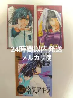 ヒカルの碁 原画展 入場者特典 佐為 塔矢アキラ 花札