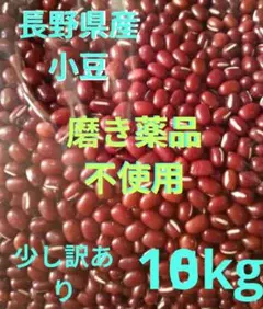 エフ子様専用 きたろまん10kg - メルカリ