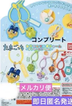 たまごっち カラフルマルチチャーム アナザーカラーver.コンプリートセット たまごっち カラフルマルチチャーム アナザーカラーver. ガチャ