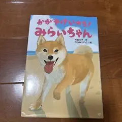 かがやけいのみらいちゃん