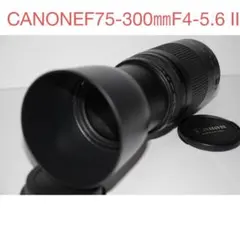 キャノン 望遠レンズ/Canon EF 75-300mm F4-5.6 Ⅱのサムネイル