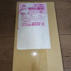 【新品未開封】ポケモンセンタースペシャルBOXヒロシマ ポケモンカード