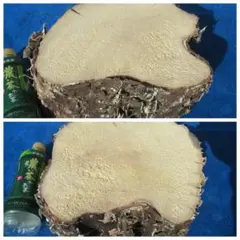 Item thumbnail for item 3b5767d2-820e-4158-8d15-1637aef6d1a4