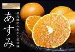 ひぃ様専用　希少❗️絶品❗️幻のみかんの苗木『あすみ』　大苗