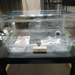 ハムスター飼育セット　グラスハーモニー600のサムネイル