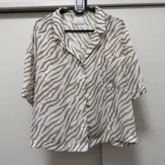 Item thumbnail for item 3f9502e5-a87f-4d1f-a837-cbdbc086cc24