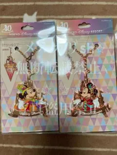 ディズニーランド40周年　バッグチャーム　ミッキーミニー　ドリームゴーラウンド