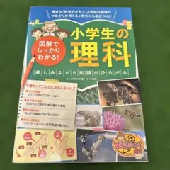 Item thumbnail for item b3548762-87ab-437c-996d-060c95d56f22