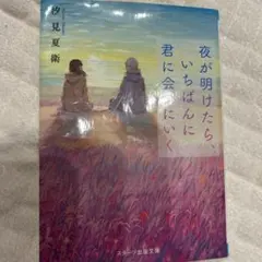 夜が明けたら、いちばんに君に会いにいく