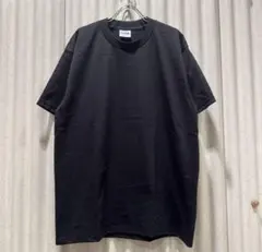 【送料無料】 新品未使用 PROCLUB プロクラブ 無地 Tシャツ Black