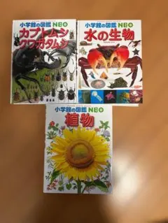 Item thumbnail for item 55eaefdd-8d52-47ab-a693-167f501d2829