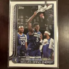 ミネソタ・ティンバーウルブズ Minnesota TIMBBRWOLVES