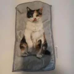 フェリシモ猫部 机の上におすわり 猫のペットボトルタオル 三毛猫