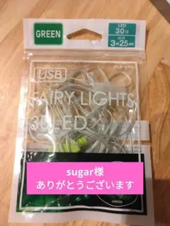 USB FAIRY LIGHTS グリーン