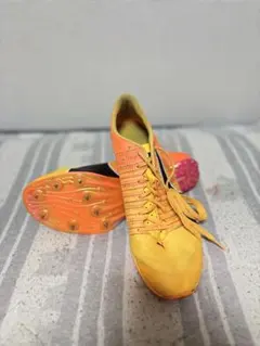 エヴォスピード400ニトロ 28.0cmのサムネイル
