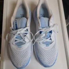 Item thumbnail for item 7037f26c-a37a-4116-987f-98b0e62739f7