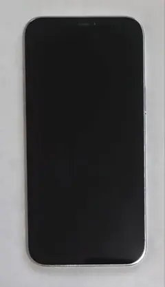 iPhone15 ProMax 256GB ジャンク 画面表示不良 ガラス割れ無 - メルカリ