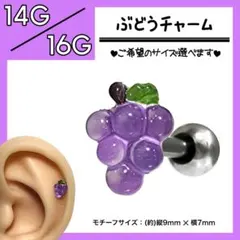 Item thumbnail for item 5ca6ac39-64c1-4e88-bc5b-341dd760da06