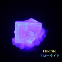 天然ライブロック ソウザイ - メルカリ