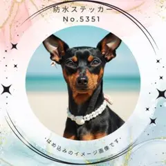 【送料無料❣️】ミニピン防水ステッカー 貝殻 海