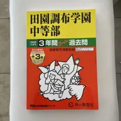 サクサクふらわー様 リクエスト 2点 まとめ商品
