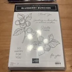 未使用⭐︎パーティー用スタンプ＆ダイカットセットスタンピンアップ 2025年最新】スタンピンアップの人気アイテム - メルカリ