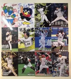 プロ野球チップスカード まとめ売り 約220枚 2025年最新】プロ野球チップスカードまとめ売りの人気アイテム
