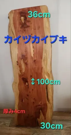 2026年最新】カイヅカイブキの人気アイテム - メルカリ