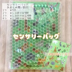 ⭐︎ぷるぷるセンサリーバッグ⭐︎かくれんぼ