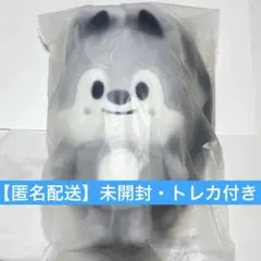 StrayKids ペンミ BACKPACK ウルフチャン - メルカリ