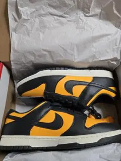 【新品未使用】NIKE DUNK LOW RETRO 30.5cm