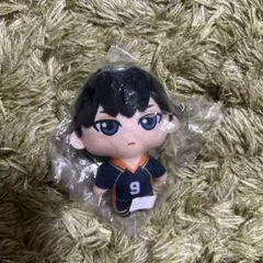 2025年最新】影山飛雄 ぬいぐるみの人気アイテム - メルカリ