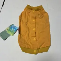 Item thumbnail for item affc7868-f825-44f8-8f7e-12ea7ad4f47d