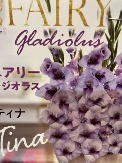 nao様 リクエスト 2点 まとめ商品