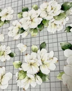 Item thumbnail for item 62c677a6-7e7b-4c8b-a931-3e51822b478f