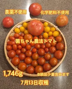 農薬化学肥料不使用 菌ちゃん農法 トマト詰め合わせ 1746gのサムネイル