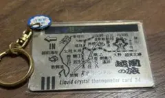 中山美穂オフィシャルツアーグッズキーホルダー1999年ミポリン