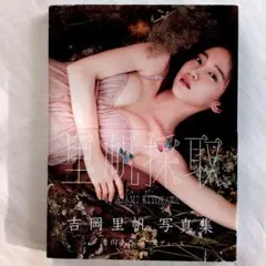 吉岡里帆 タレント写真集