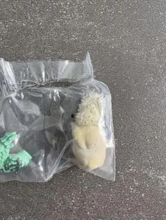 捕獲し隊