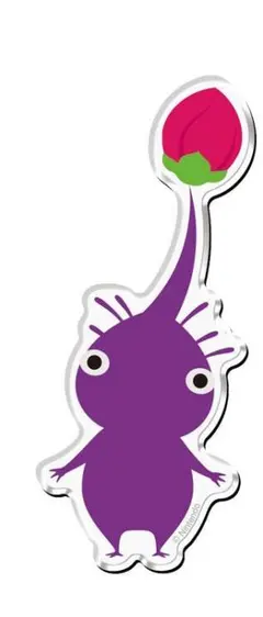 井澤様 リクエスト 2点 まとめ商品