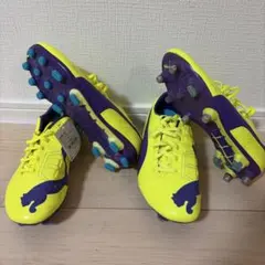 新品 プーマ エヴォスピードSL 29㎝ 10試合限定モデル | Mercari