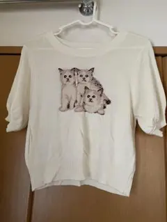 ems excite 半袖ニットプルオーバー白