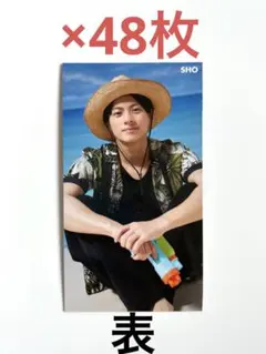 平野紫耀 データカード 厚紙 48枚